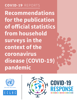 Recommendations for the publication of official statistics from household surveys in the context of the coronavirus disease (COVID-19) pandemic