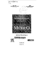 Magnitud Y Evolucion De La Pobreza En Mexico 1984 1992 Informe