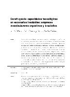 Construyendo capacidades tecnológicas en escenarios inestables: empresas manufactureras argentinas y brasileñas