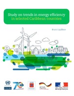 Study on trends in energy efficiency in selected Caribbean countries