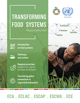 Transforming food systems: Regional policy brief