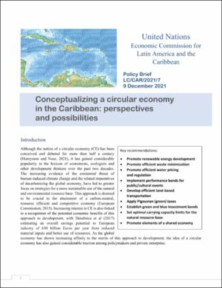 Conceptualizing a circular economy in the Caribbean: perspectives and possibilities. Policy Brief