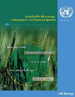 Sustainable bioenergy: a framework for decision makers