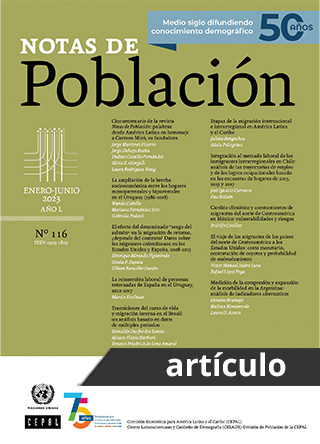 Integración al mercado laboral de los inmigrantes intrarregionales en Chile: análisis de las trayectorias de empleo y de los logros ocupacionales basado en las encuestas de hogares de 2013, 2015 y 2017