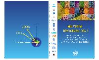 Millennium development goals. 2006 report: a look at gender equality and empowerment of women in Latin America and the Caribbean