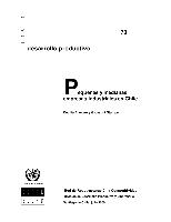 Pequeñas y medianas empresas industriales en Chile