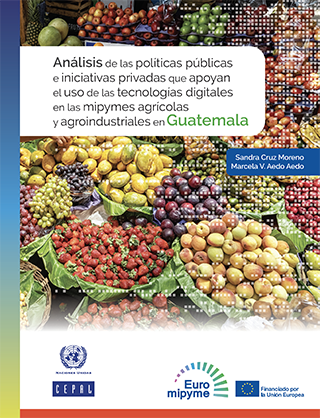 Análisis de las políticas públicas e iniciativas privadas que apoyan el uso de las tecnologías digitales en las mipymes agrícolas y agroindustriales en Guatemala