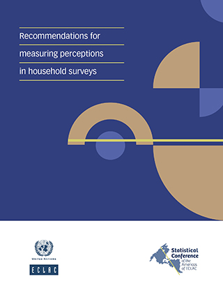 Recommendations for measuring perceptions in household surveys