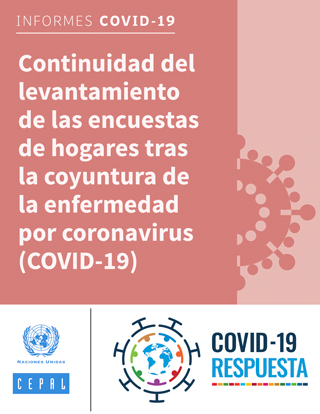 Continuidad del levantamiento de las encuestas de hogares tras la coyuntura de la enfermedad por coronavirus (COVID-19)