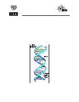 Policy brief: biotechnology with special reference to the Caribbean