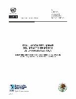 Evaluación preliminar del impacto en México de la influenza AH1N1: documento elaborado por el equipo conjunto CEPAL