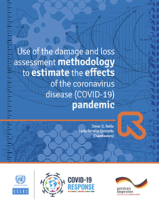 Use of the damage and loss assessment methodology to estimate the effects of the coronavirus disease (COVID-19) pandemic