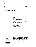 Política fiscal en Argentina durante el régimen de convertibilidad