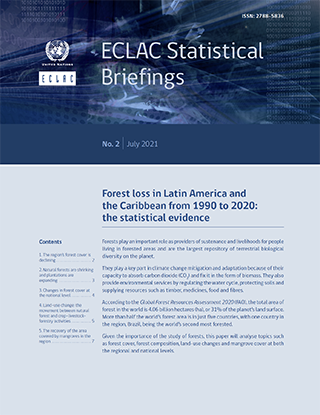 Forest loss in Latin America and the Caribbean from 1990 to 2020: The statistical evidence