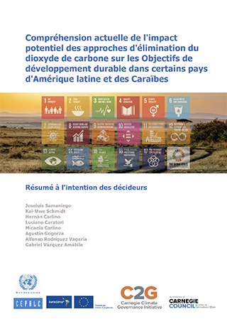 Compréhension actuelle de l'impact potentiel des approches d'élimination du dioxyde de carbone sur les Objectifs de développement durable dans certains pays d'Amérique latine et des Caraïbes: Résumé à l'intention des décideurs