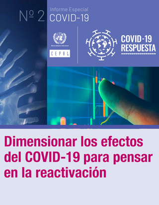 Dimensionar los efectos del COVID-19 para pensar en la reactivación