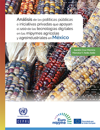 Análisis de las políticas públicas e iniciativas privadas que apoyan el uso de las tecnologías digitales en las mipymes agrícolas y agroindustriales en México
