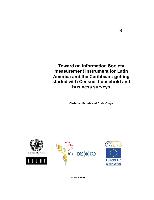 Towards an information society measurement instrument for Latin America and the Caribbean: getting started with census, household and business surveys