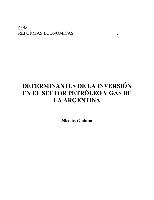 Determinantes de la inversión en el sector petróleo y gas en la Argentina