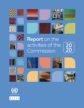 Report on the activities of the Commission 2020